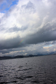 自然と虹.JPG